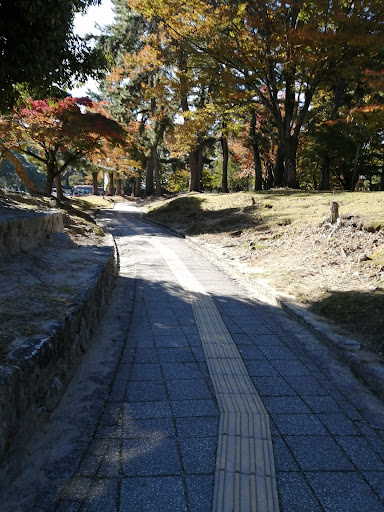 奈良公園の紅葉